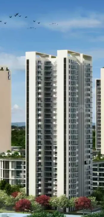 Project Name Here